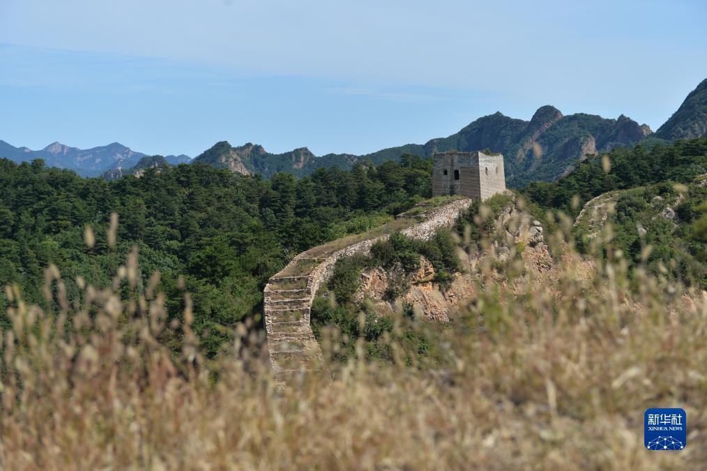 四川麻将在线玩